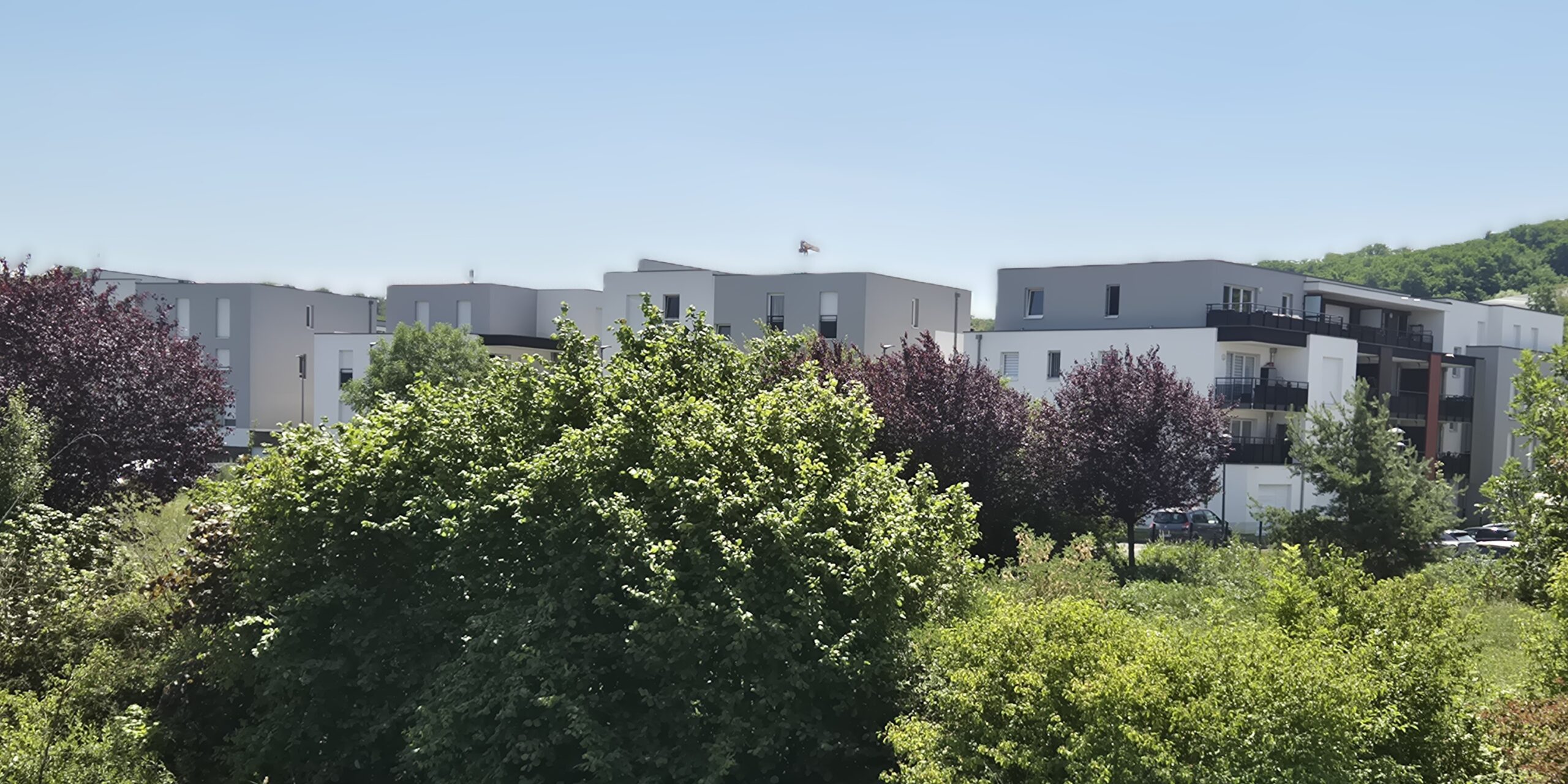 Copropriété